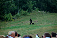 The "bear", crossing the field